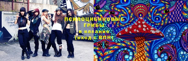 прущие крисы Алексеевка