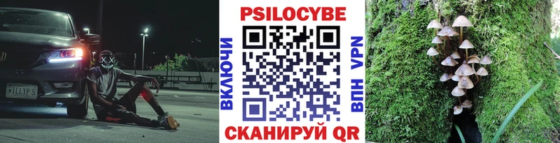 где найти   Лахденпохья  ссылка на мегу ССЫЛКА  Псилоцибиновые грибы ЛСД 